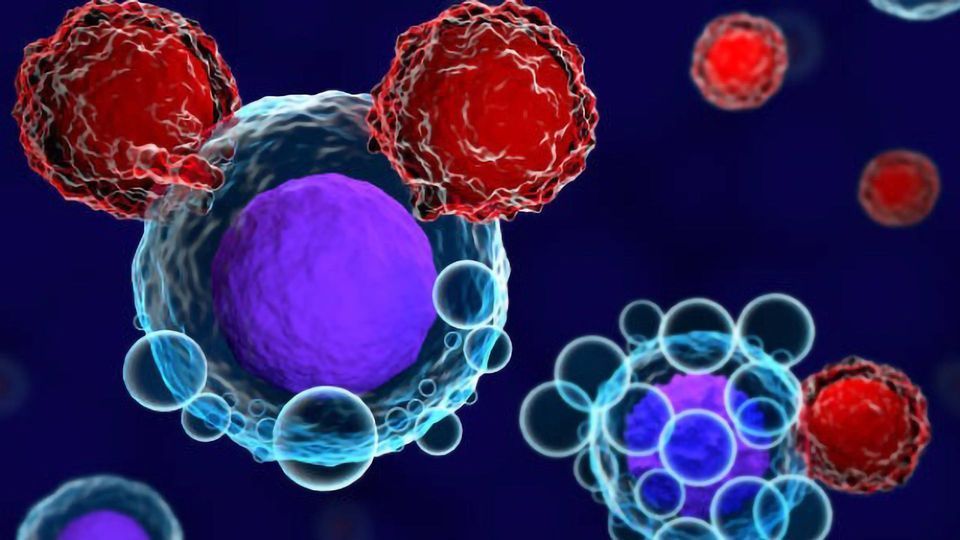CAR-T Therapy